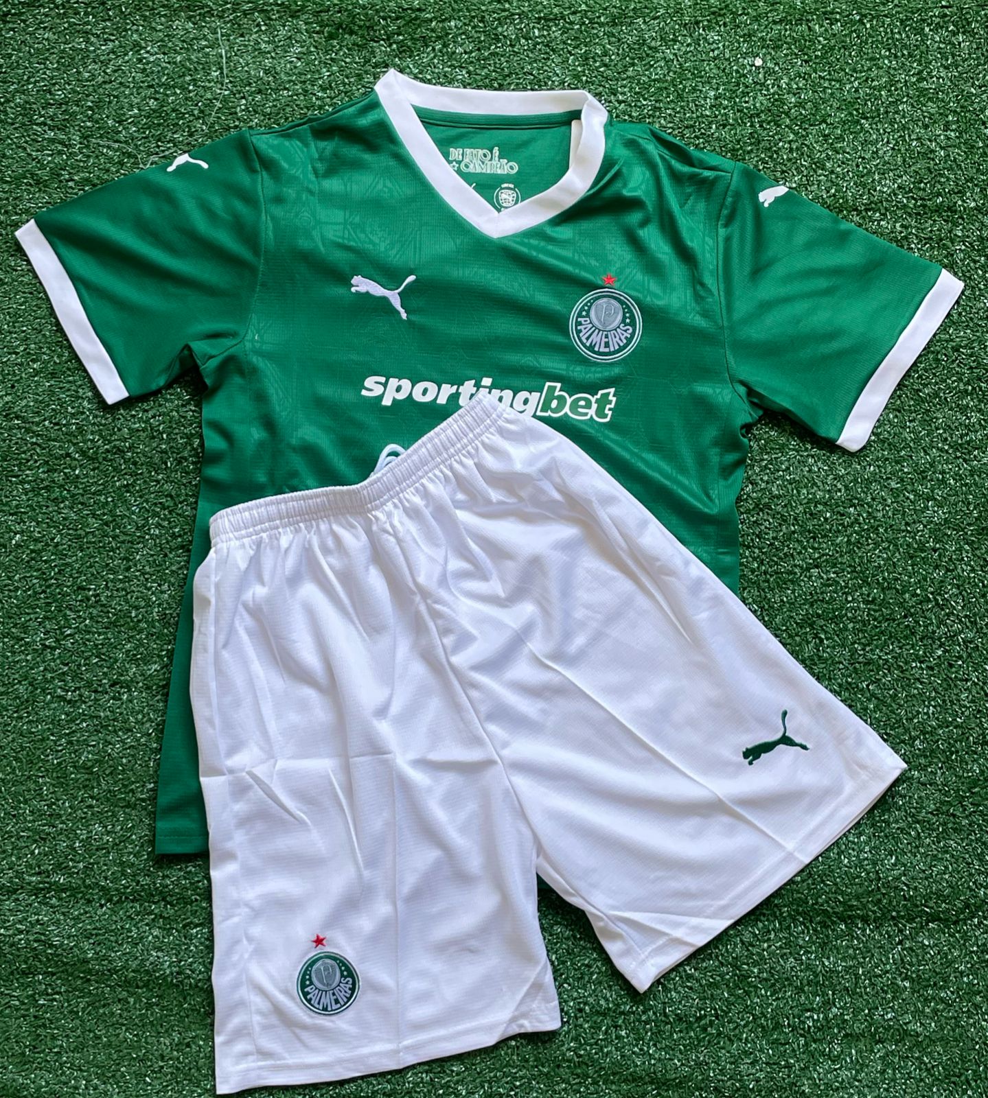 Conjuntinho Infantil Palmeiras Puma Verde