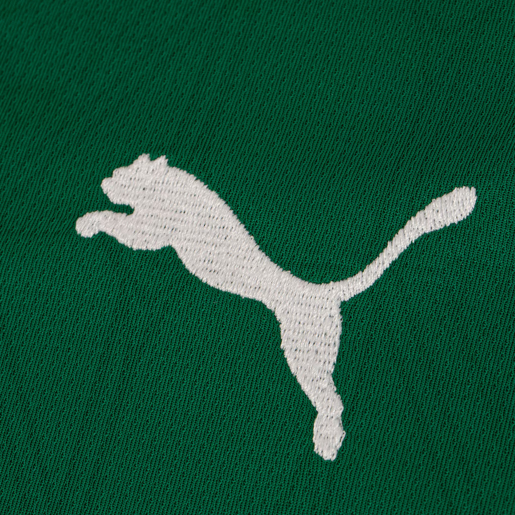 Camisa do Palmeiras I 25/26 s/n Torcedor Puma Masculina