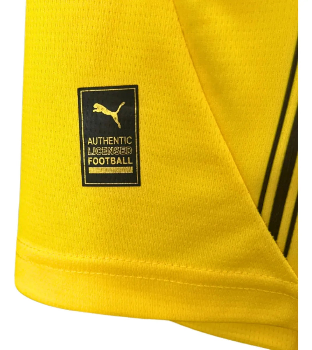 Camisa Borussia Dortmund Home 24/25 s/nº Torcedor Puma Masculina - Amarelo