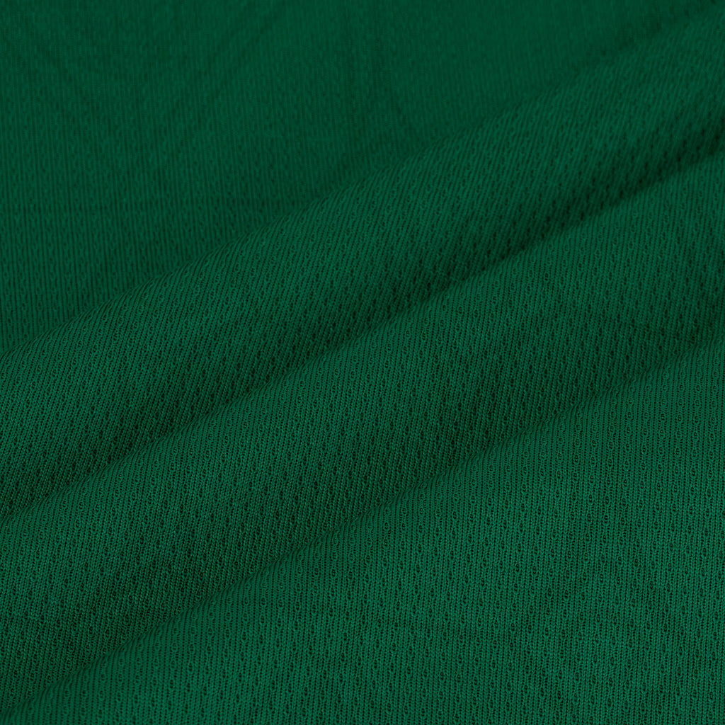 Camisa do Palmeiras I 25/26 s/n Torcedor Puma Masculina