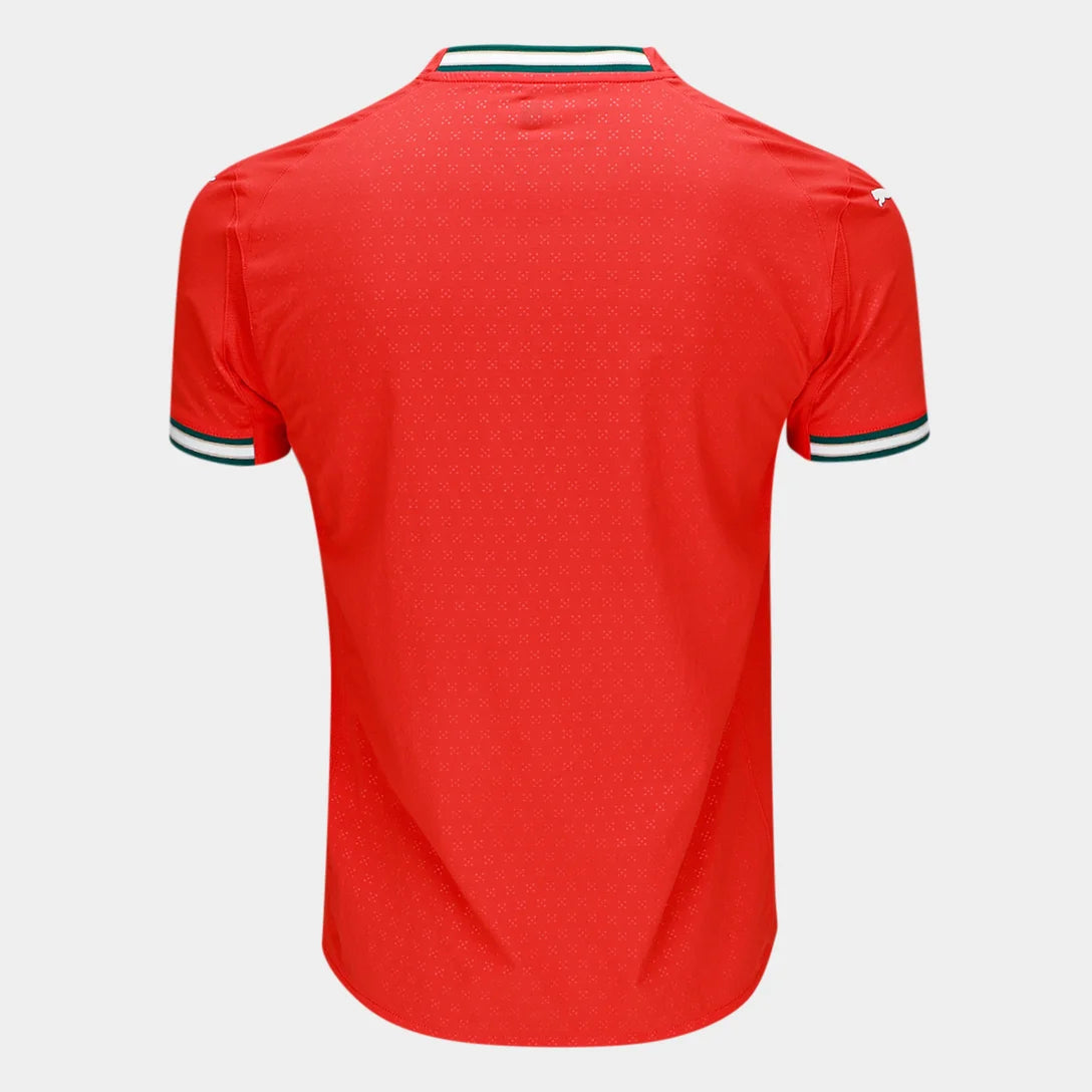 Camisa Seleção Portugal I 25/26 s/n Torcedor Puma Masculina - Vermelho