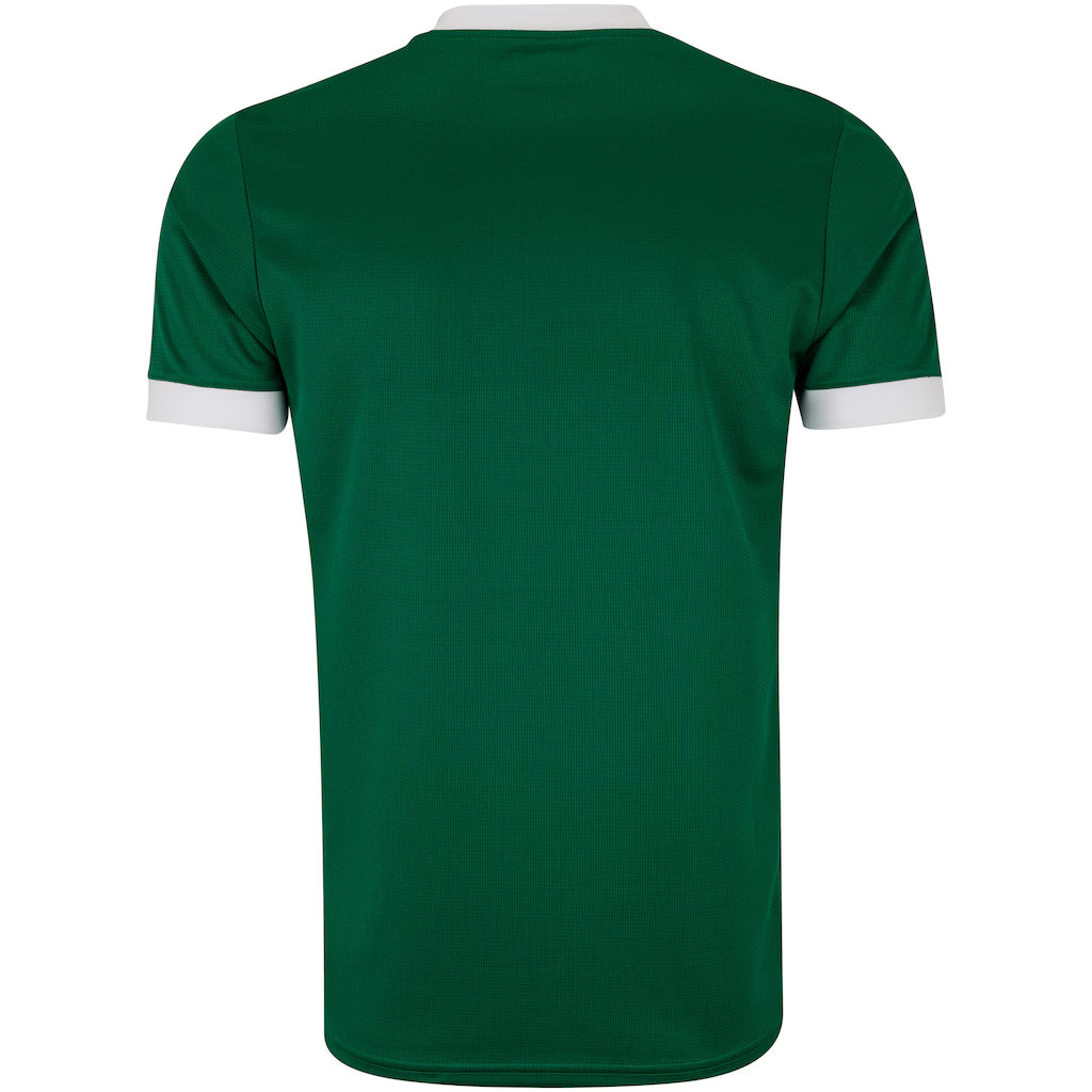 Camisa do Palmeiras I 25/26 s/n Torcedor Puma Masculina