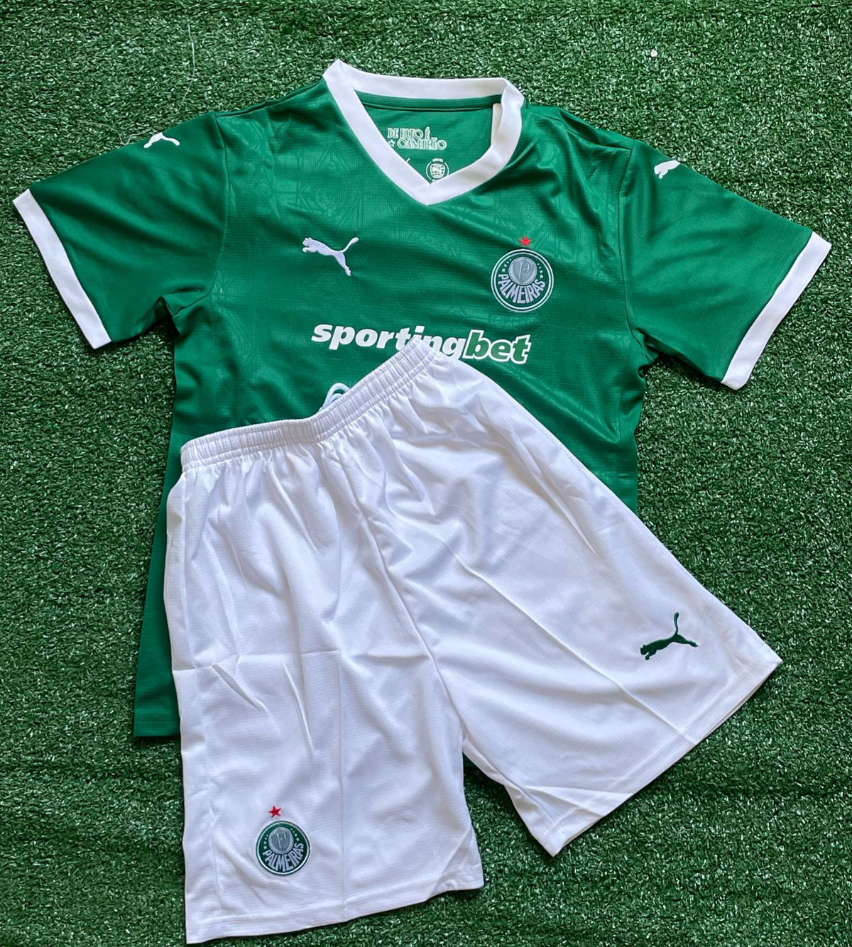 Conjuntinho Infantil Palmeiras Puma Verde