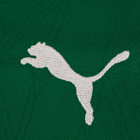 Camisa do Palmeiras I 25/26 s/n Torcedor Puma Masculina