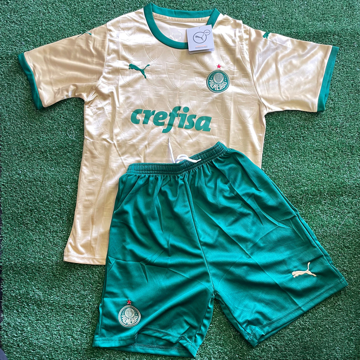 Conjuntinho Infantil Palmeiras Puma - Bege