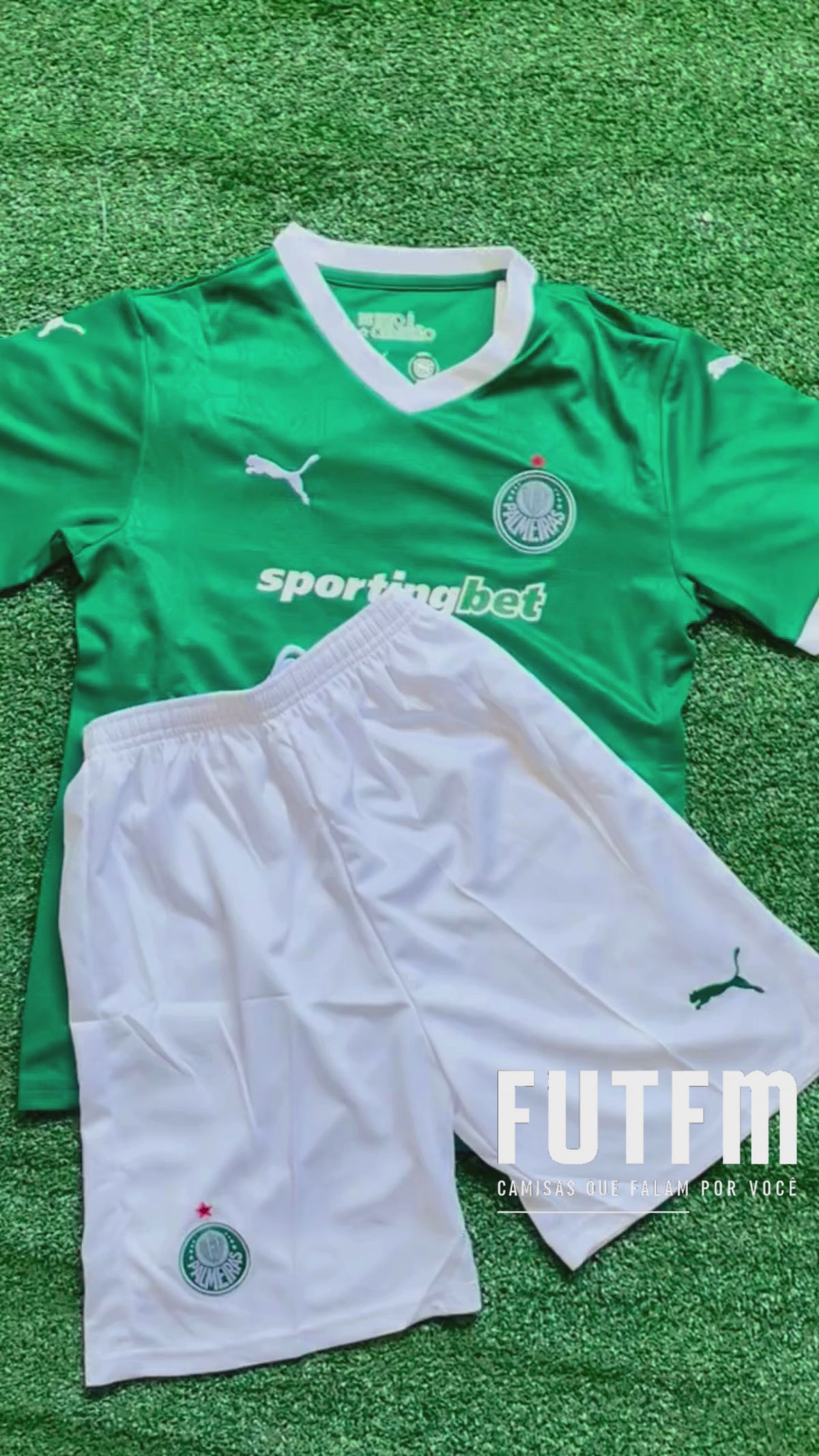 Conjuntinho Infantil Palmeiras Puma Verde